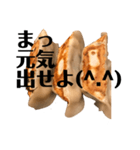 餃子好きの人限定の美味しい餃子スタンプ♡（個別スタンプ：4）