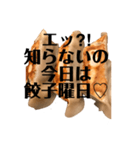 餃子好きの人限定の美味しい餃子スタンプ♡（個別スタンプ：8）
