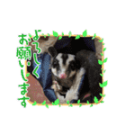 もも太【日常】（個別スタンプ：5）