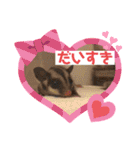 もも太【日常】（個別スタンプ：12）