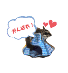 もも太【日常】（個別スタンプ：20）