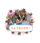 もも太【日常】（個別スタンプ：21）