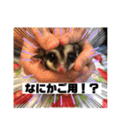 もも太【日常】（個別スタンプ：24）