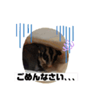 もも太【日常】（個別スタンプ：25）