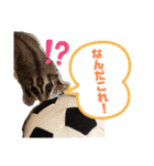 もも太【日常】（個別スタンプ：30）