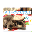 もも太【日常】（個別スタンプ：32）