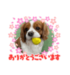 カワイイれお（個別スタンプ：7）