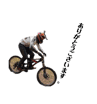 Issei (DownHill)（個別スタンプ：5）