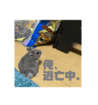 グリの口癖（個別スタンプ：7）