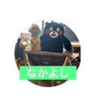 トイプのこもちゃん2021（個別スタンプ：14）