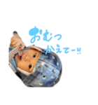 あm03（個別スタンプ：5）