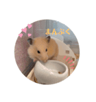 あんずのラフなスタンプ（個別スタンプ：7）