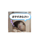 あんずのラフなスタンプ（個別スタンプ：9）