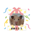 あんずのラフなスタンプ（個別スタンプ：14）