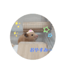 あんずのラフなスタンプ（個別スタンプ：18）