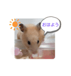 あんずのラフなスタンプ（個別スタンプ：19）