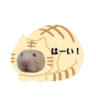 あんずのラフなスタンプ（個別スタンプ：20）