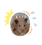 あんずのラフなスタンプ（個別スタンプ：22）