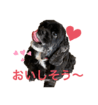 アクアNo.2（個別スタンプ：4）
