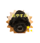 アクアNo.2（個別スタンプ：6）