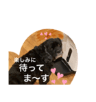 アクアNo.2（個別スタンプ：7）