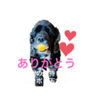 アクアNo.2（個別スタンプ：8）