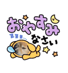 ポメラニアン秋田美人らんちゃん（個別スタンプ：7）