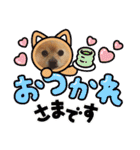 ポメラニアン秋田美人らんちゃん（個別スタンプ：10）