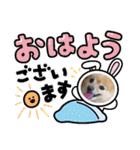ポメラニアン秋田美人らんちゃん（個別スタンプ：18）