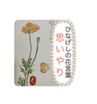 母へ送る花言葉（個別スタンプ：3）
