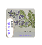 母へ送る花言葉（個別スタンプ：5）