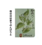母へ送る花言葉（個別スタンプ：9）
