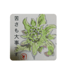 母へ送る花言葉（個別スタンプ：14）