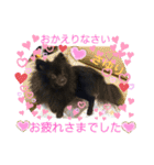 テンシン③（個別スタンプ：5）