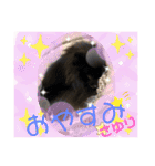テンシン③（個別スタンプ：11）