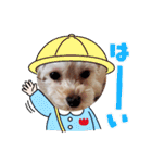 マルプー秋田美人ここちゃん（個別スタンプ：25）