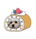 マルプー秋田美人ここちゃん（個別スタンプ：30）