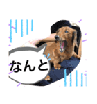 るいの1日  part2（個別スタンプ：2）