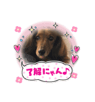 るいの1日  part2（個別スタンプ：4）