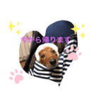 るいの1日  part2（個別スタンプ：7）
