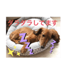 るいの1日  part2（個別スタンプ：8）