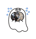 アシュのスタンプ（個別スタンプ：3）