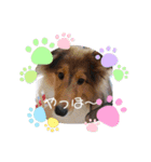 アシュのスタンプ（個別スタンプ：4）