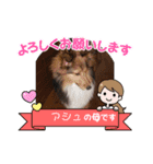 アシュのスタンプ（個別スタンプ：7）