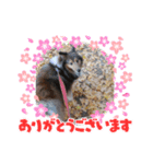 アシュのスタンプ（個別スタンプ：14）