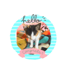 保護にゃん（個別スタンプ：2）
