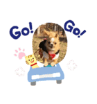 イッヌ〜（個別スタンプ：1）