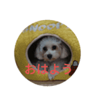 私しの家のおりこおさん（個別スタンプ：6）