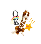 ちょっと大きめキャバリア犬のメイ（個別スタンプ：21）