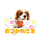 ちょっと大きめキャバリア犬のメイ（個別スタンプ：33）